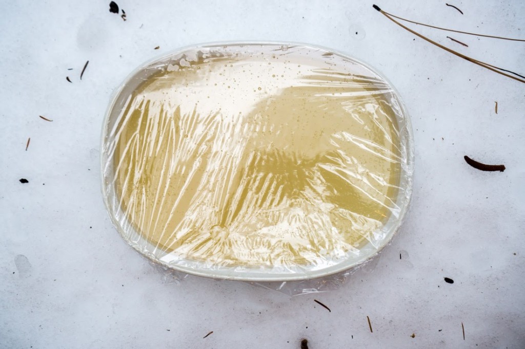 Making the gelatinized broth: I stuck my pan in the snow outside (covered, of course) because, well, free refrigeration! (You can just let the broth cool in the refrigerator if you don't have a pile of snow handy.) 