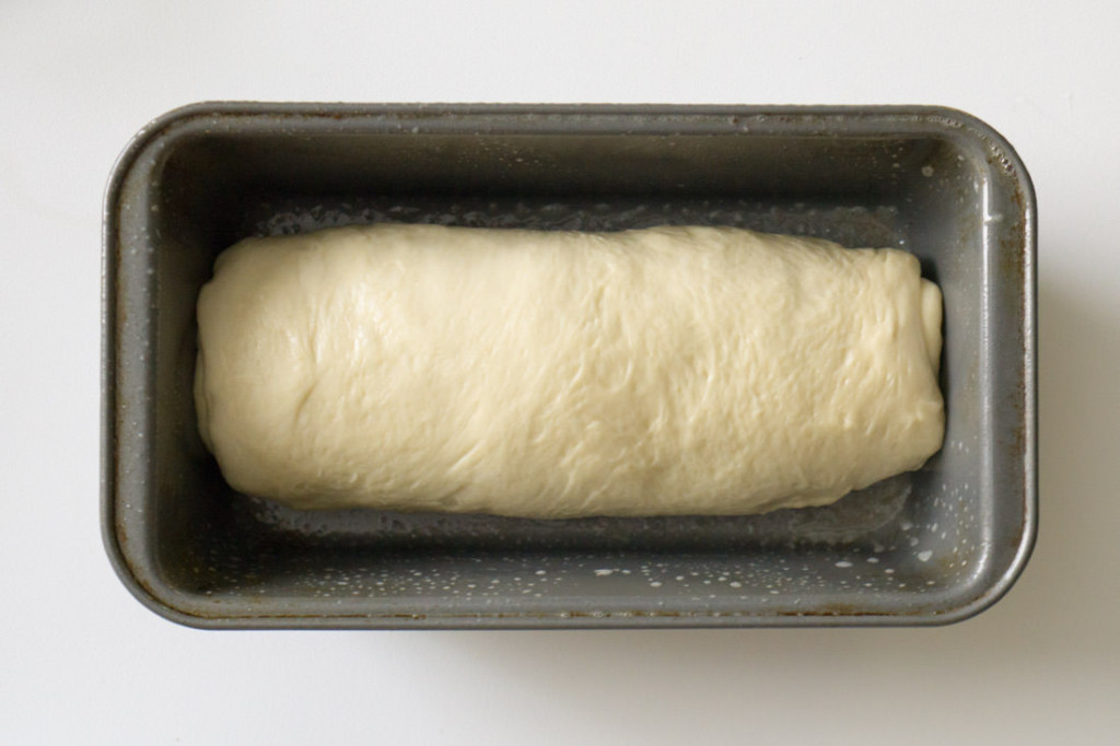 Japanese milk bread dough, rolled up into jelly roll and placed in pan